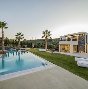 Geolivia Estate In Crete Βίλα Φοινικιά Exterior photo