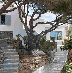 Mykonos Serendipity Villas Πλατύς Γιαλός Exterior photo