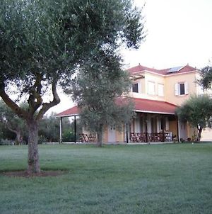 Phyllida Guest House - A1 Ζαχάρω Exterior photo