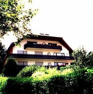 Vogesen-Wohnung Mit Balkon 2-Zi-Fewo 67Qm Mit Herrlichem Burgvogesen-Blick Neben Schlosspark Nahe Μπάντενβαϊλερ Exterior photo