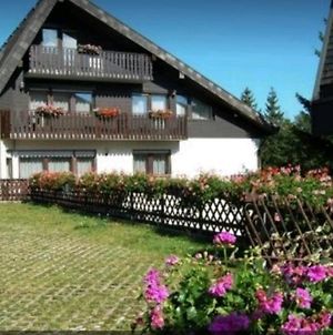 Ferienhaus-Schonwald Im Herzen Des Schwarzwaldes 1Zimmer-Wohnung+Terrasse App1 Exterior photo