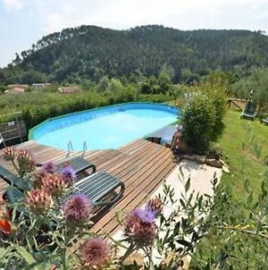 Villa & Pool In The Hills Of Lucca - Giadapalacegroup Capannori Exterior photo