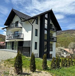 Transylvania House Moieciu de Jos Exterior photo