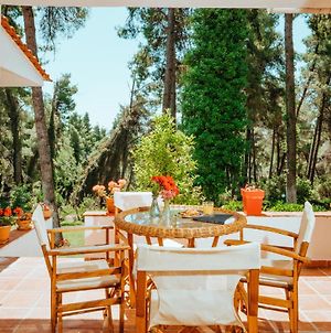 Vacation Home With Large Garden In Sani'S Forest Παραλία Σάνη Exterior photo