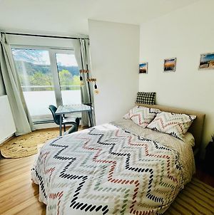 Cosy Room With Tv In Luxembourg City - Easy Parking-Bus And Forest Exterior photo