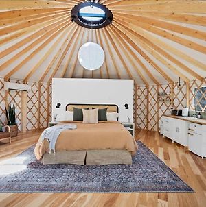 Luxury Yurt, Alpacas And Llamas Near Downtown Wimberley And Wineries Exterior photo