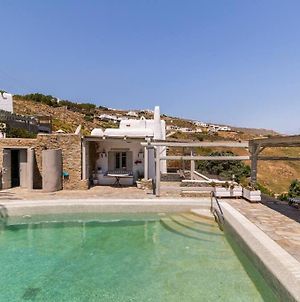 Dolce Vita In Mykons - Swimming Pool Panormos Mykonos Town Exterior photo