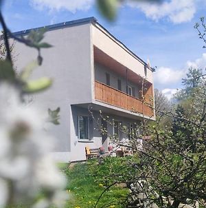 Ruzova Vila Ξενοδοχείο Banská Štiavnica Exterior photo