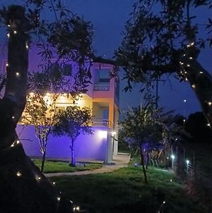 Lavender Διαμέρισμα Χιλιαδού Exterior photo