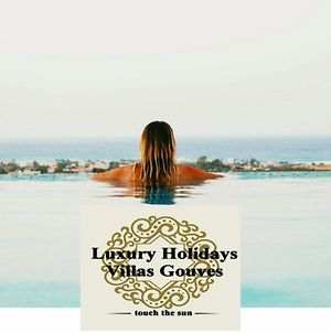 Luxury Holiday Villas Γούβες Exterior photo