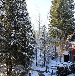Alpenglow Lodge Studio With Pool Views By Mva Γουίστλερ Exterior photo