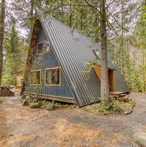 The Wildhood Cabin At Mt Hood Βίλα Rhododendron Exterior photo