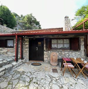 Agoriani Art Studio - Sweet Little Cottage Λιλαία Exterior photo