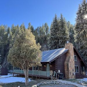 Spruce Moose Lodge: Creek-Front Rustic Cabin In The San Juan National Forest Pagosa Springs Exterior photo