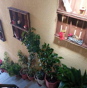 Ίριδα Δωμάτιο Με Τζάκι Οικολογικό Και Μπαλκόνι Αράχωβα Exterior photo