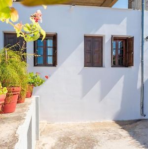 The Backyard- Κατοικία Στην Αγριά, Βόλου Βίλα Exterior photo