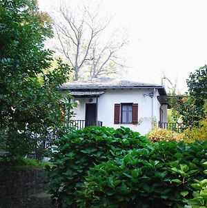 The Cottage In The Trees Τσαγκαράδα Exterior photo