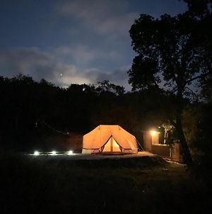 Eco Glamping. Private Luxury Tent In Alfambras. Aljezur Exterior photo