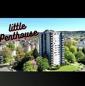 Little Penthouse **** Διαμέρισμα Dietikon Exterior photo
