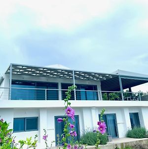 Luxury Villa Set In Idyllic Cove, Sunets, Dolphins Nr Lefkada Villa Levanda Σπάρτο Exterior photo