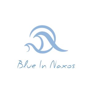 Blue In Naxos Ξενοδοχείο Naxos City Exterior photo