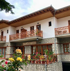 Ξενοδοχείο Απόστολος Μέτσοβο Exterior photo