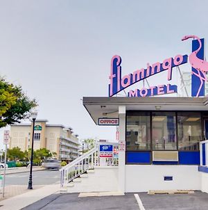 Flamingo Motel Όσεαν Σίτι Exterior photo