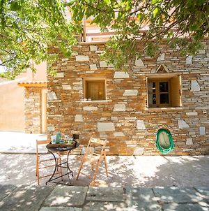 Andros Getaway Cycladic House In The Nature Kourelio Exterior photo