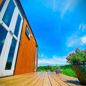 Tiny House • Spectacular Hinterland Views • Cosy Βίλα Montville Exterior photo