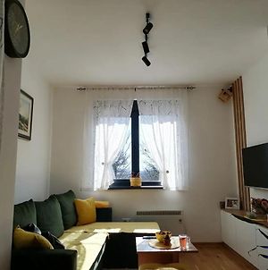 Apartman Istra 35 - Titova Vila Διαμέρισμα Palisat Exterior photo