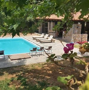 Villa Oinoi With Pool For Luxury Vacation And Events Μαραθώνας Exterior photo