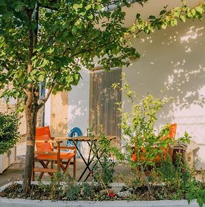The Apricot Tree Studio Διαμέρισμα Σαμοθράκη Exterior photo