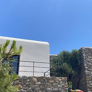 Mykonos Cottage Άνω Μερά Exterior photo