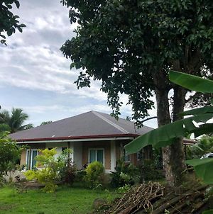 Sheila'S Villa Leyte Exterior photo