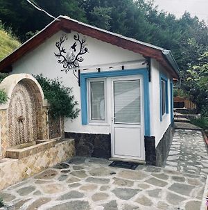 Cozy Home In Ardino Exterior photo