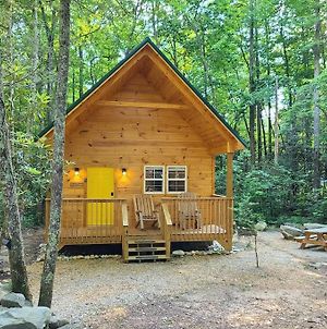 Laurel Haven: Modern Cabin W/Ev Outlet Near Gatlinburg & Smoky Mountains Βίλα Cosby Exterior photo