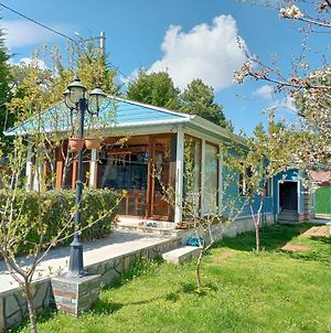 Nature View Private House With Garden In Osmangazi Προύσα Exterior photo