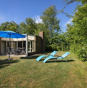 Bungalow With Fireplace, In A Holiday Park With Swimming Pool, Near The Beach Sint Maartensvlotbrug Exterior photo