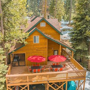 Bear Bottoms At Shaver Lake-Cabin With Game Room Exterior photo
