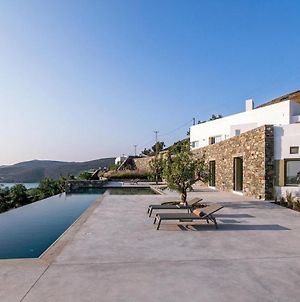 Unique Deluxe Villa Mykonos Φτελιά Exterior photo