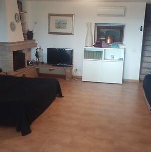 Le Querce Bed and Breakfast Ανκόνα Room photo