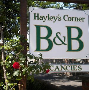 Hayleys Corner Ξενοδοχείο Μπόνορ Ρέτζις Exterior photo
