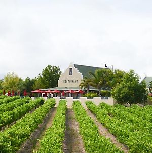 Skilpadvlei Wine Farm Ξενοδοχείο Στέλενμπος Exterior photo