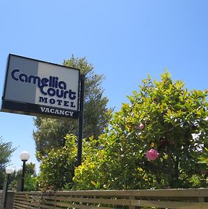 Camellia Court Family Motel Τούπο Exterior photo