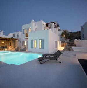 Villa In Ornos With Private Pool By Diles Villas Agios Ioannis  Exterior photo