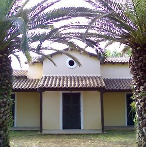Villa Rododafni Ρόδα Exterior photo