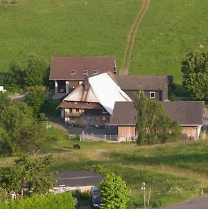 Hoflebauer Διαμέρισμα Schonach im Schwarzwald Exterior photo