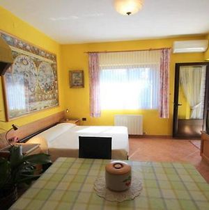 Apartments Daniela Novigrad Istria Room photo