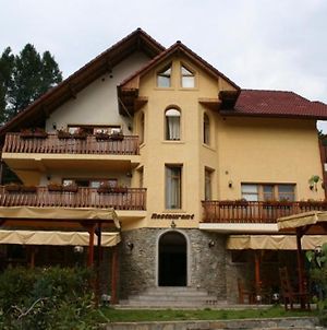Vila Iulia Ξενοδοχείο Vatra Dornei Exterior photo