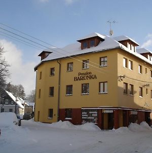 Penzion Barunka Vysoké nad Jizerou Exterior photo